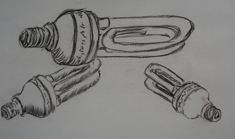 Sparbirnen, 2006, Kohle-Papier, 42x60.jpg